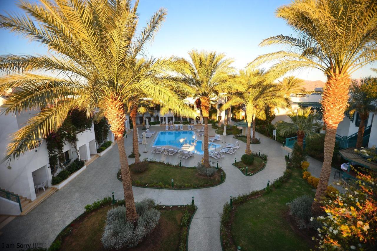 Falcon Hills Hotel Sharm el Sheikh Esterno foto